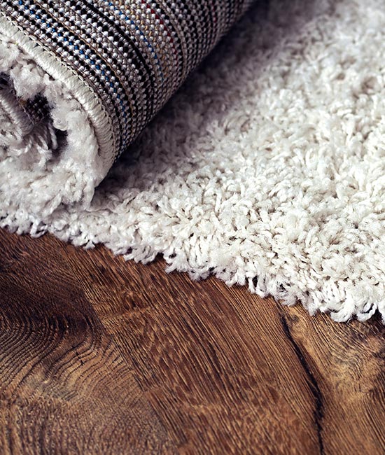 Rug Cleaning Experts | Feet Up Carpet Cleaning of Bayonne