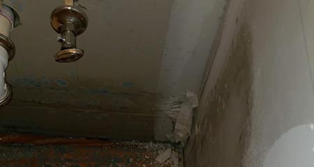 Bayonne Mold Inspection Pros